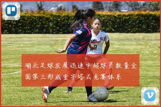 湖北足球发展迅速中超球员数量全国第三形成金字塔式竞赛体系